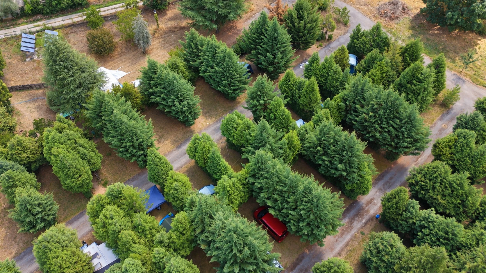 Vista aérea de las parcelas arboladas del Camping El Lago, en Vilela