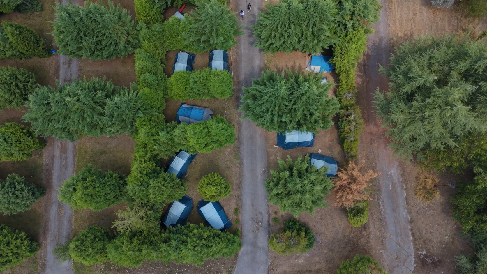 Tiendas azules en la zona de campamentos de El Lago, entre parcelas arboladas
