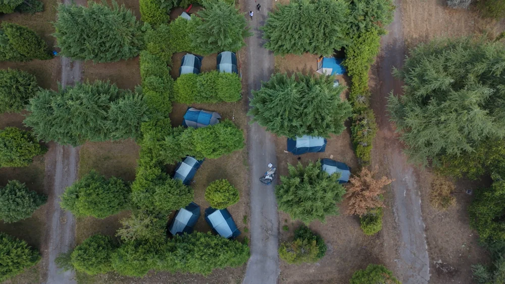 Zona de acampada para grupos con tiendas azules entre los árboles